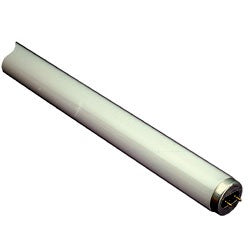 8W T5 Miniature Fluorescent Tube T5 (16mm) - 12 Inch
